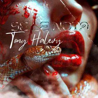 Se le nota by Tony Halevy