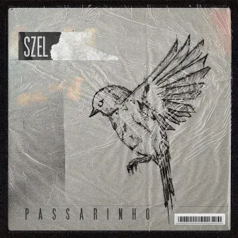 Passarinho (Vôo) by SZEL