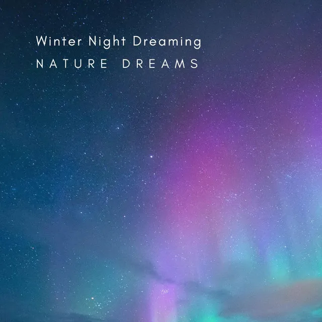 Winter Night Dreaming