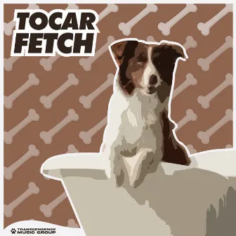 Tocar Fetch by Música Para Cães Adormecidos