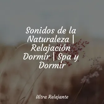 Sonidos de la Naturaleza | Relajación Dormir | Spa y Dormir by Massagem