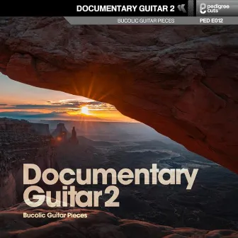 Documentary Guitar 2 by Alexis Arakis