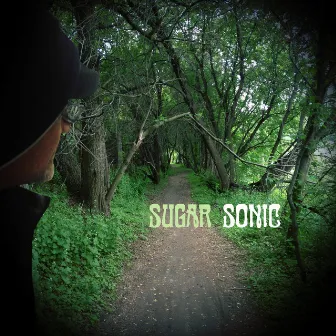 Making My Way by Sugar Sonic