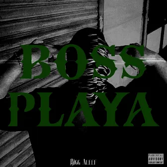 Boss Playa by Bigg Aleef