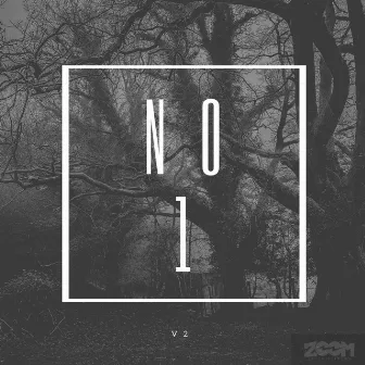 No 1 by V2