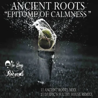 Epitome of Calmness by Ancient Roots