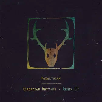 Circadian Rhythms (Remix) by Pedestrian