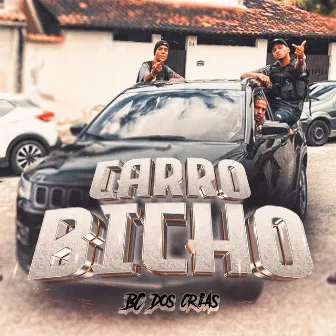 Carro Bicho by CoelhoLucca