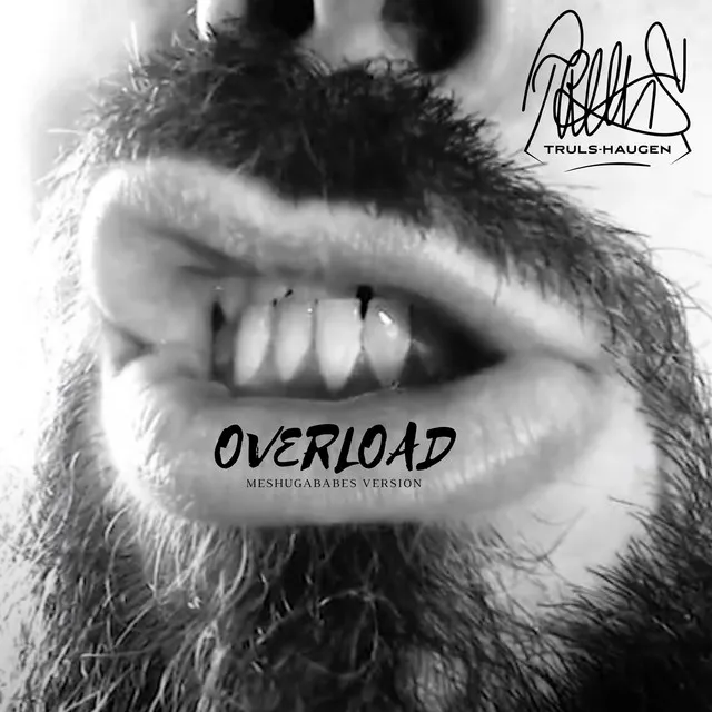 Overload (Meshugababes Version)