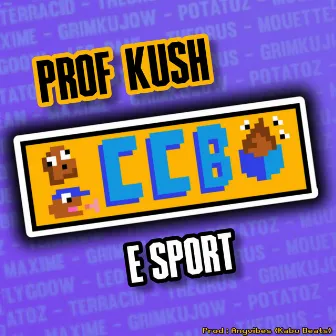 CCB e sport by Prof. Kush