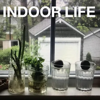 Indoor Life by Mike Simonetti