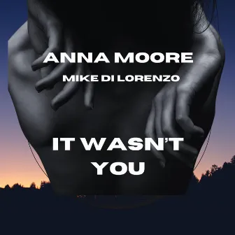 It Wasn't You by Mike Di Lorenzo