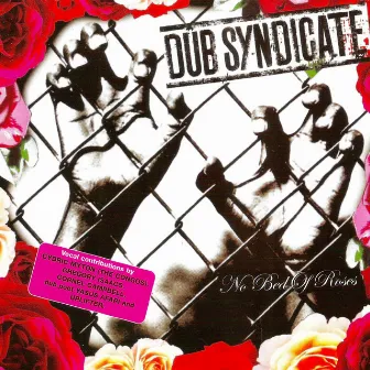 No Bed of Roses by Dub Syndicate