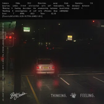 THE DISTANCE BETWEEN THINKING AND FEELING by BOY SODA