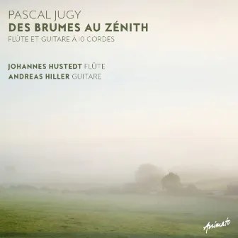 Des brumes au zénith by Johannes Hustedt