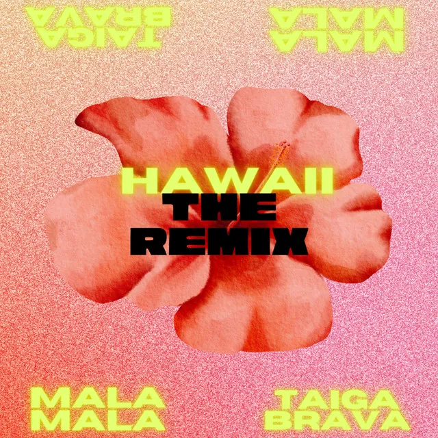 Hawaii Remix