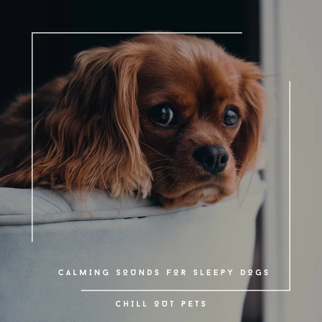 Dog Chill Out Music