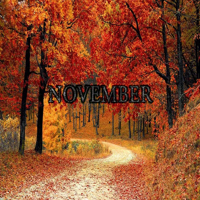 November