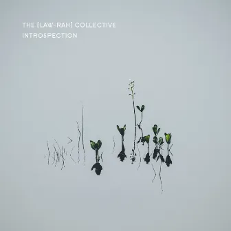 Introspection by the [law-rah] collective