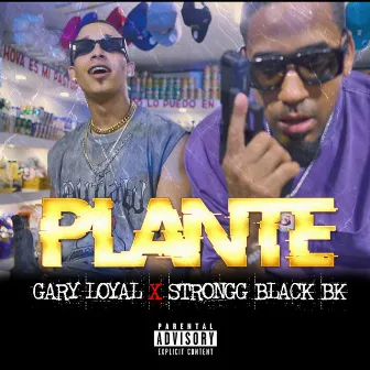 PLANTE by Strongg Black Bk