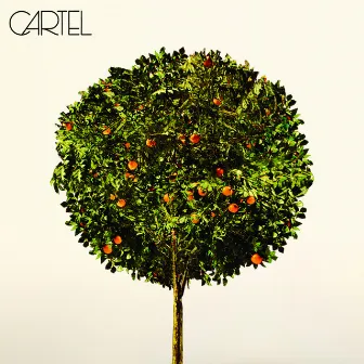 Cartel by Cartel