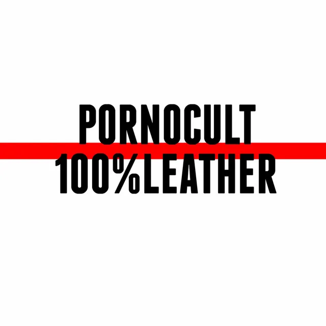 100% Leather (Radio edit)