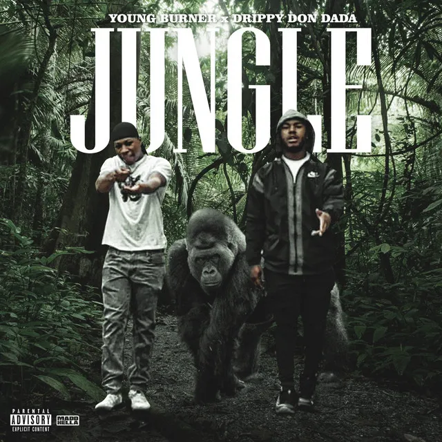 Jungle