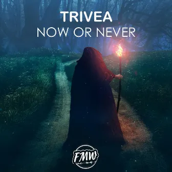 Now Or Never by TRIVEA