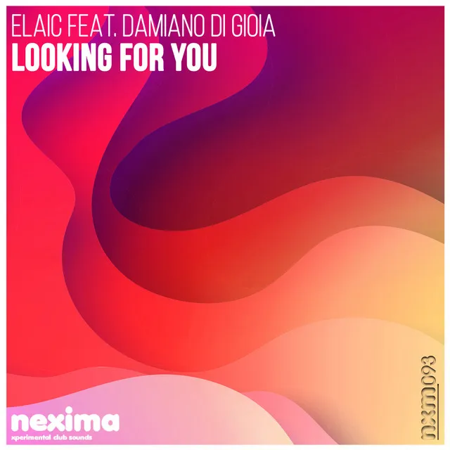 Looking For You (feat. Damiano Di Gioia) - Extended Mix