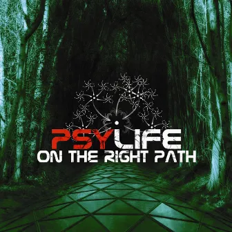 On The Right Path by Chemical Spoon