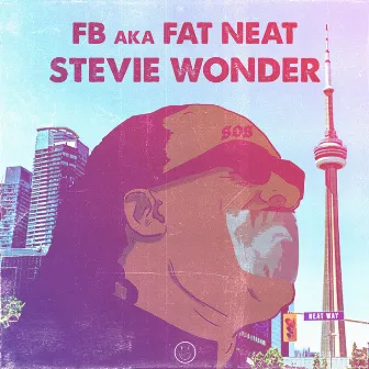 Stevie Wonder by FB