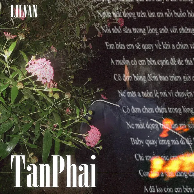 Tan Phai