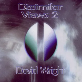 Dissimilar Views 2 by David Wright