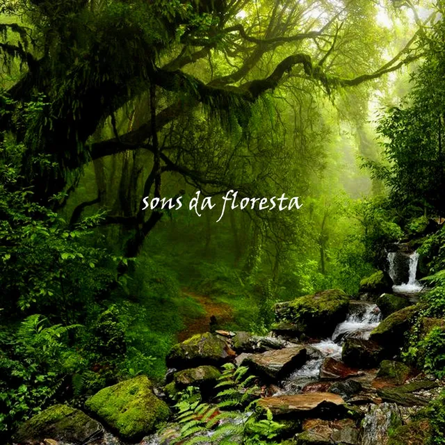 Sons da Floresta, Pt. 02