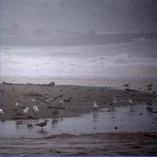 A Stormy Day at the Beach