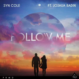 Follow Me by Syn Cole