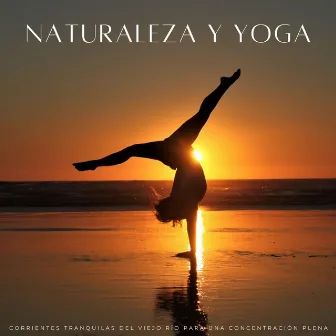 Naturaleza Y Yoga: Corrientes Tranquilas Del Viejo Río Para Una Concentración Plena by Som Da Natureza