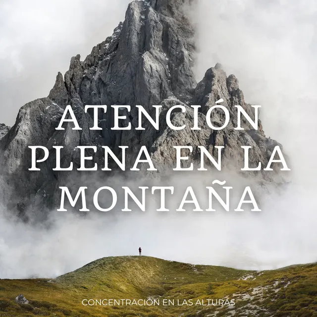 Serenata De Concentración En La Montaña