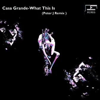 What This Is (Peter J Remix) by Casagrande