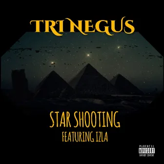 Star Shooting by the Last Composer