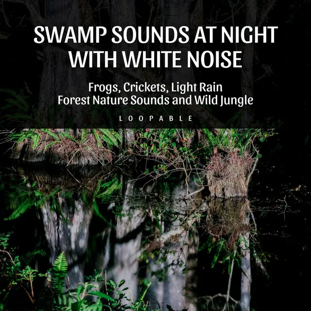 Swamp Sounds at Night with White Noise - Frogs, Crickets, Light Rain, Forest Nature Sounds and Wild Jungle, Loopable