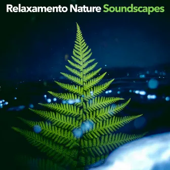 Relaxamento Nature Soundscapes by Nature Sounds & Backgrounds