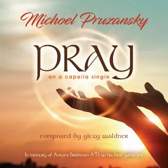 Pray by Michoel Pruzansky