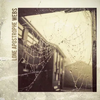 Webs by Lone Apostrophe