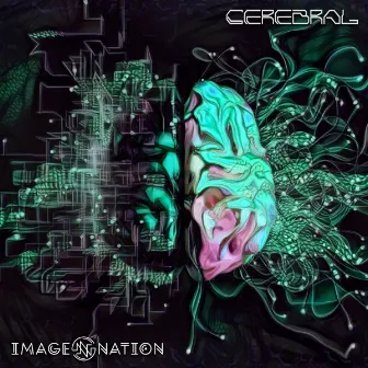 Cerebral by Image.Nation