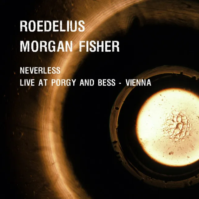 Neverless and Live at Porgy & Bess - Vienna