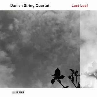 Last Leaf by Danish String Quartet