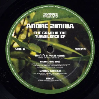 The Calm In The Turbulence EP by Andre Zimma