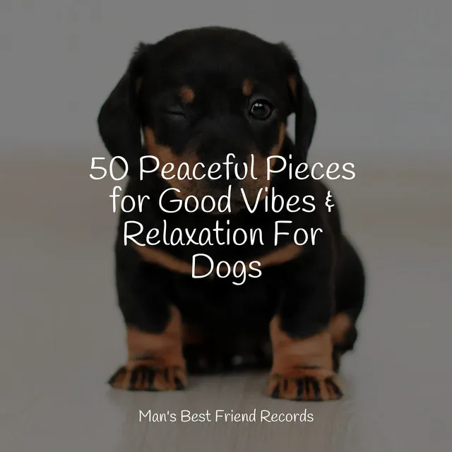 50 Peaceful Pieces for Good Vibes & Relaxation For Dogs