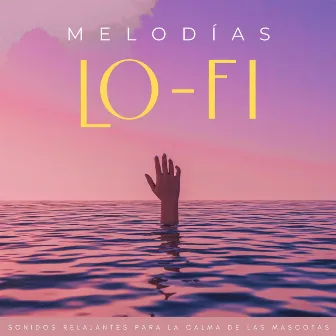 Melodías Lofi: Sonidos Relajantes Para La Calma De Las Mascotas by Academia de Música